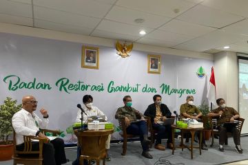 BRGM: Edukasi kepada masyarakat kunci rehabilitasi berkelanjutan