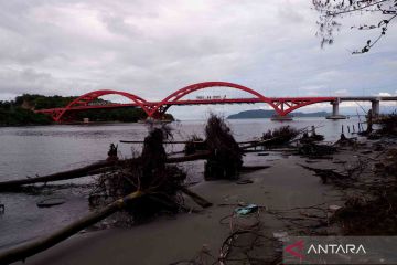 Ancaman abrasi di Teluk Youtefa, Jayapura