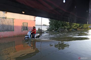 Banjir rob di Indramayu