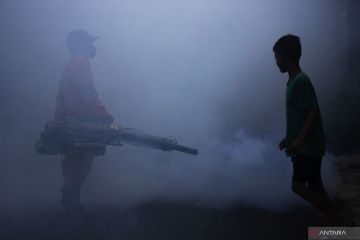 Partisipasi masyarakat penting untuk cegah penyakit demam dengue