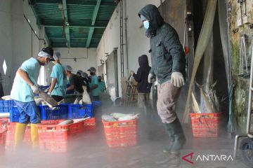KBRI Riyadh fasilitasi minat Arab Saudi impor produk ikan Indonesia