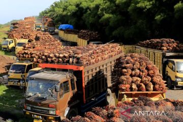 Pasaman Barat dorong pembangunan pabrik kelapa sawit dari dana LPDB