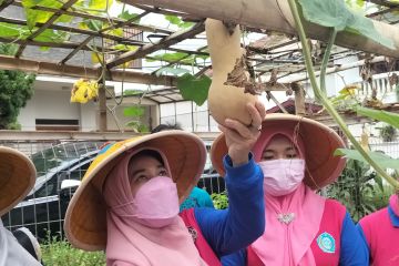 Ribuan ibu rumah tangga di Jakarta Barat ikut Kelas Berkebun