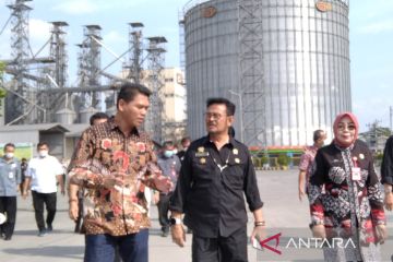 Kementan: PT Japfa bakal menyerap semua jagung petani