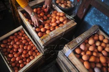 Program Subsidi Harga Bahan Pangan Pokok Di Jateng