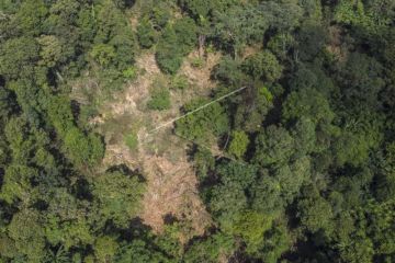 Pembalakan Liar Di Gunung Cakrabuana