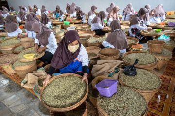 Proyeksi produksi biji kopi kering