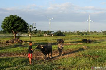 DEM Indonesia minta subsidi BBM dialihkan bagi energi baru terbarukan