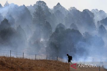 Banjir bandang landa bekas kebakaran hutan New Mexico, dua tewas