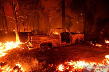 Oak Fire memanggang kawasan Mariposa County, California