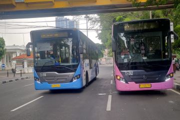 Bus TransJakarta "pink" khusus wanita kembali beroperasi