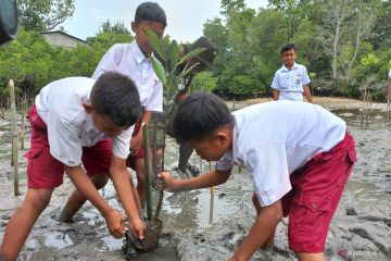 Pelajar sekolah dasar diajak menanam bibit mangrove di Pantai Donggala