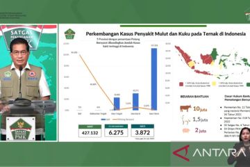 Pemerintah berkomitmen bantu peternak terdampak penyakit PMK