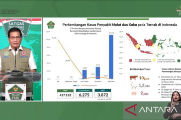 Satgas: Daerah gencarkan potong bersyarat tekan kasus PMK lebih baik