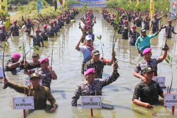 Marinir tanam mangrove  di Surabaya