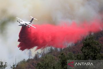 Kebakaran hutan di California mulai bisa dikendalikan
