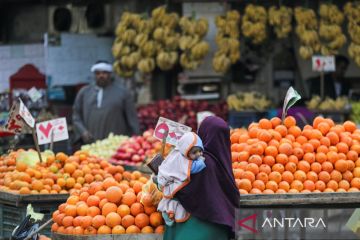 Mesir perluas bantuan sosial saat krisis ekonomi menyengsarakan