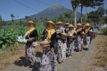 Tradisi Wiwit Mbako di Gunung Sindoro