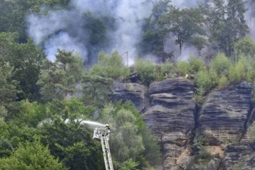 Kebakaran hutan di Jerman dan Ceko ancam kawasan wisata