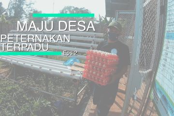 Mata Indonesia - Maju Desa Peternakan Terpadu (Eps. 2)