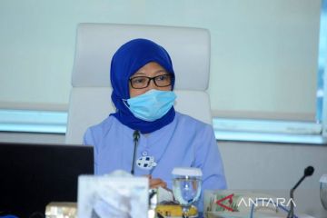 KKP: 8 investor domestik kembangkan industri perikanan Indonesia Timur