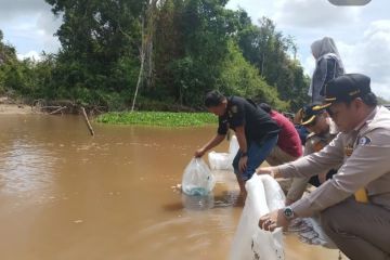 BRIN: Danau Hanjalutung berpotensi jadi sentra perikanan dan ekowisata