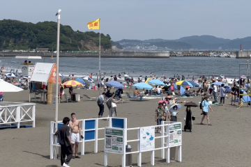 Berwisata ke Pulau Enoshima di Hari Laut Jepang