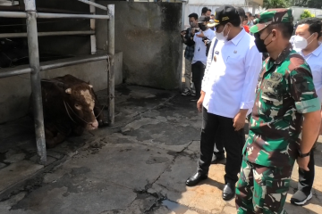 Hadang laju PMK, Pangdam V Brawijaya pantau sejumlah daerah di Jatim