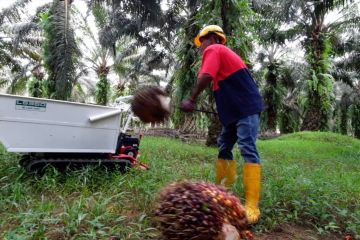 Indonesia ikuti sistem baru Malaysia, cegah pengiriman PMI ilegal