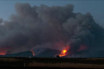 Kebakaran hutan membara hingga malam di provinsi Zamora, Spanyol