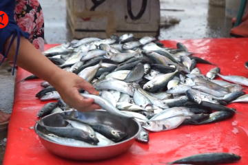 KKP targetkan nelayan berpenghasilan minimal Rp5 juta  per bulan
