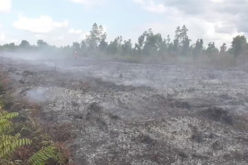 Menko Polhukam ancam tindak tegas oknum pembakar hutan