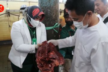 Petugas DKPP pisahkan organ hewan kurban yang tak layak konsumsi