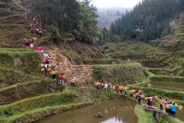 Menilik adat tradisional kelompok etnis Miao di China selatan