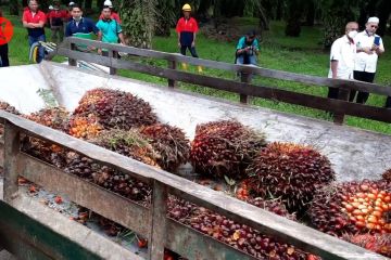 Pekerja migran yang prosedural miliki jaminan keselamatan kerja