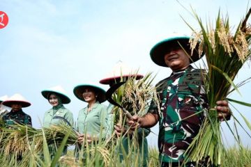KSAD Dudung tanam padi guna mendukung ketahanan pangan nasional