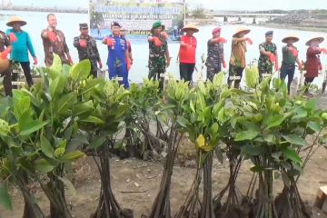 TNI dan nelayan tanam 5.000 bibit mangrove di pesisir Denpasar