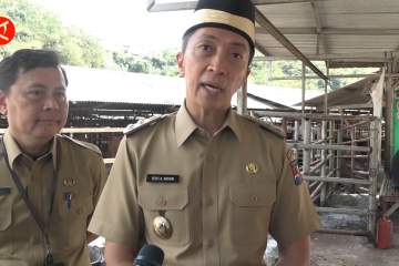 Wakil Wali Kota Bogor sebut dana ganti rugi PMK kurangi beban peternak