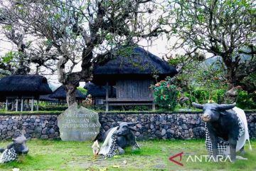 Menggali keunikan Desa Wisata Tenganan Pegringsingan