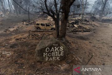 Sisa kebakaran hutan terbesar di California
