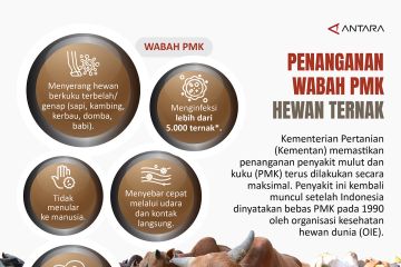 Penanganan wabah PMK hewan ternak