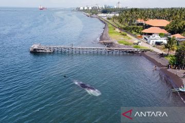 Tarjima bilan Buyuk Ketrin pornosini tomosha qiling