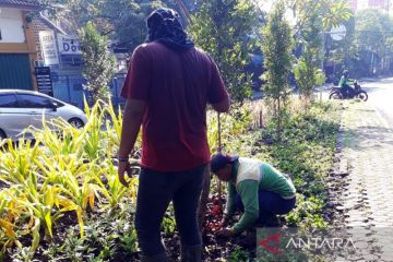 Sekitar seribu bibit tanaman ditanam di Kota Surabaya setiap hari