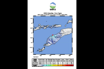 Tumbukan lempeng menyebabkan gempa bermagnitudo 5,0 di NTT