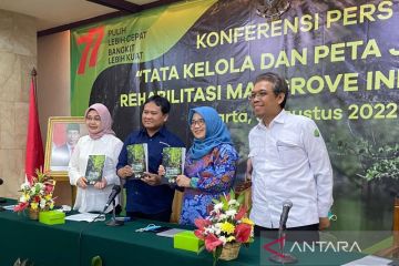 Pemerintah susun RPP tentang pengelolaan ekosistem mangrove