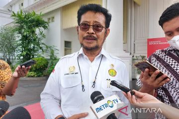 Pemerintah pertimbangkan industri pakan ternak jadi "offtaker" sorgum