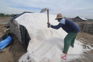 Kemenperin: Impor garam diatur sangat ketat