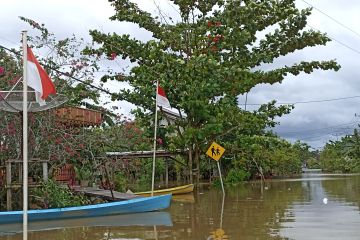 Banjir landa sejumlah desa di lima kecamatan Kapuas Hulu Kalbar