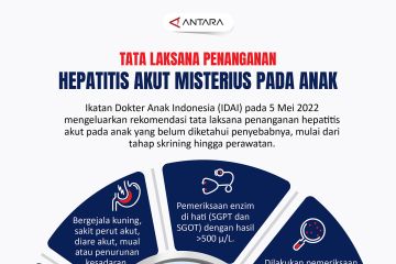 Tata laksana penanganan hepatitis akut misterius pada anak