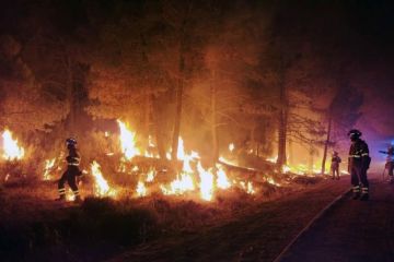 19 ribu orang dievakuasi akibat kebakaran hutan di Yunani